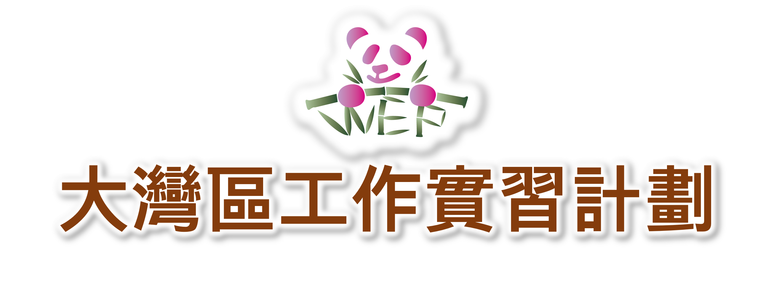 大灣區工作實習計劃