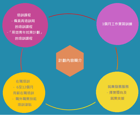 為青年提供機會，協助機構發掘人才