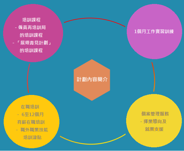 為青年人提供機會，協助機構發掘人才