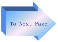 next page