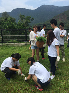 Weeding and planting flowers (1)