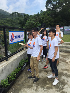 Weeding and planting flowers (2)
