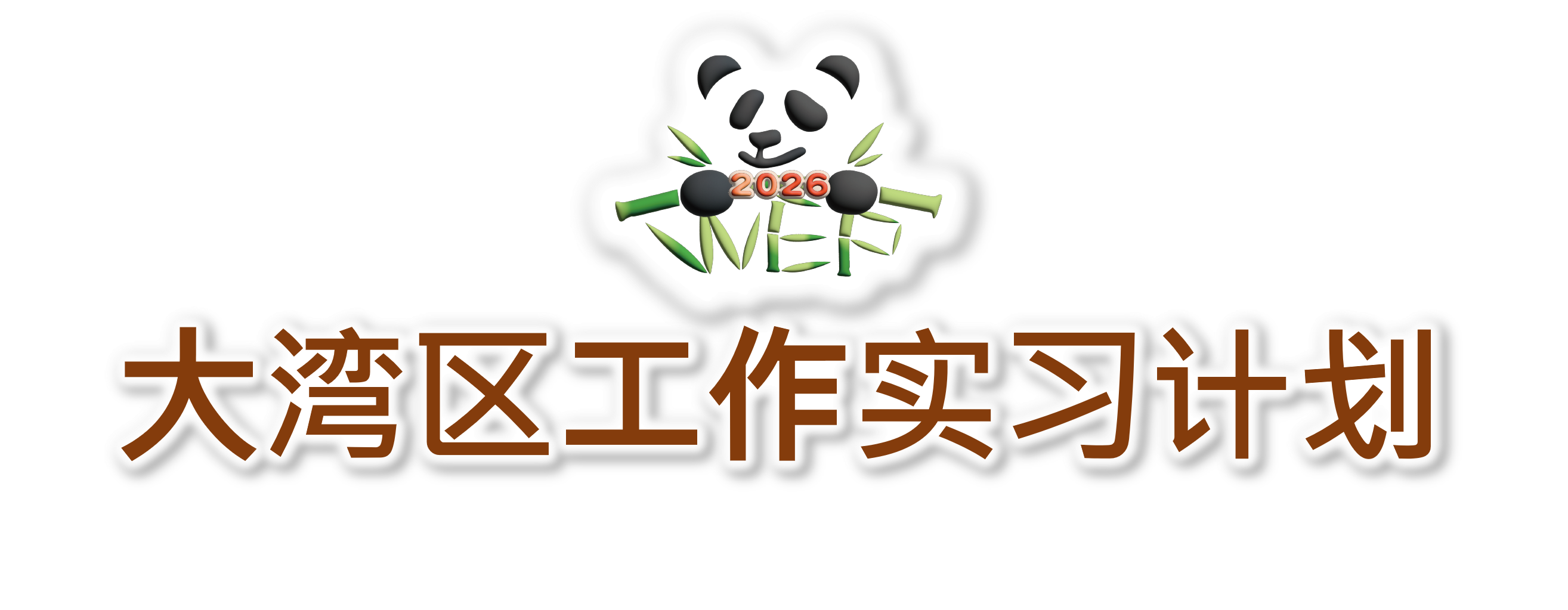 大湾区工作实习计划